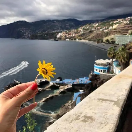 Apartment Madeira T2
